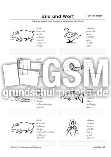 BuW Haustiere35.pdf